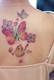 Moteriškos nugaros gražus drugelio vyšnių tatuiruotės tatuiruotės paveikslėlis