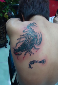 stijlvolle sfear skouder skorpioen Tattoo