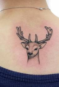 Esteettisesti tyylikäs Deer Head -tatuointikuvio