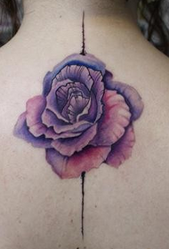 tatuagem feminina nas costas linda tatuagem rosa