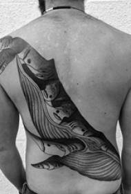 anyamata kumbuyo kwa mizere yakuda ndi imvi yosavuta yoluma malangizo a whale tattoo