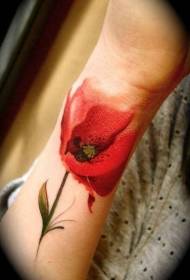 rankos vandens spalva raudonos aguonos tatuiruotės modelis