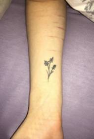lille frisk plante tatovering pige håndled på sort plante tatovering billede