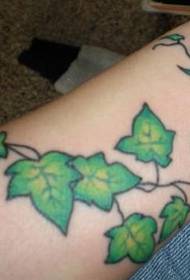 Ang pattern ng tattoo ng Ivy vine sa braso