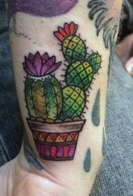 riešo senamadiškas spalvų kaktuso tatuiruotės paveikslėlis
