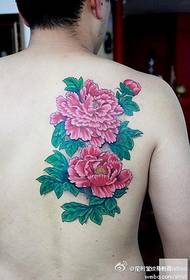 Шанхайска татуировка шоу дракон Tattoo татуировка работа: задна хризантема татуировка
