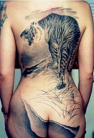 Girls back Chinese traditional Chinese painting Shangshan tiger tattoo figure