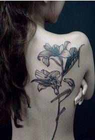 Schönheit zurück schönes und schönes Schwarzweiss-Lilienmuster