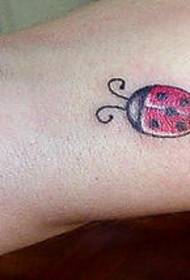 Umbala we tattoo yomthi we-ladybug