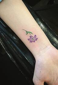 Pequeno patrón de tatuaxe do lirio púrpura do muñeco