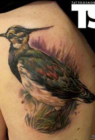 tilbage et smukt fugl tatoveringsmønster