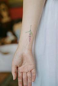 sekelompok kecil bunga tato tato segar dan indah