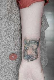 nkwojiaka Sphinx cat cat tattoo