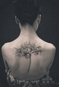 lijepa ljepota cvijet crno-bijela tetovaža leđa