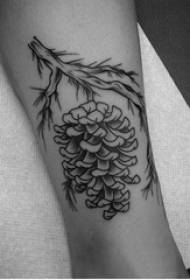 Europäesch Kallef Tattoo Meedche Kallef op schwaarz Pinecone Tattoo Bild