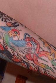 ụmụ nwanyị na agba agba Phoenix tattoo usoro