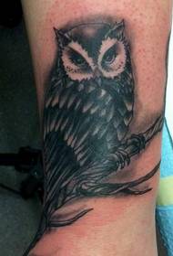 Modello tatuaggio gufo polso