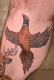 Gambe di tatuaggi per ragazzi di uccelli su tatuaggi di animali colorati