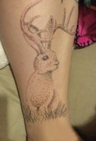 Trik tato menyengat gadis betis pada gambar tato kelinci abu-abu hitam