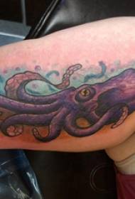 Európai borjú tetoválás hímivarú színes polip tetoválás kép