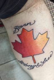 Maple Leaf tattoo figura muškog teleta na slici engleskog jezika i javorova lišća