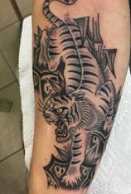 Stinco maschio del tatuaggio europeo del vitello sull'immagine nera del tatuaggio della tigre