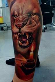 狮子王纹身  男生小腿上彩色的狮子纹身图片