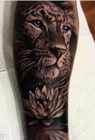 Bashemane ba tattoo ea liphoofolo tsa Baile phuleng ea lotus le setšoantšo sa tattoo sa Lion