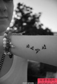 ແຖບສະແດງໃຫ້ເຫັນ Tattoo ແນະນໍາໃຫ້ຮູບແບບ tattoo ກືນສາຍແຂນ