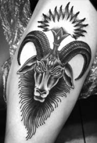 Perna masculina de tatuagem de bezerro europeu na foto de tatuagem de cabra preta