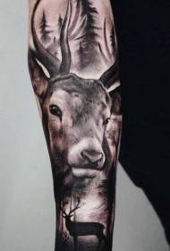 braccio tatuaggio stile realistico foresta nera e cervi