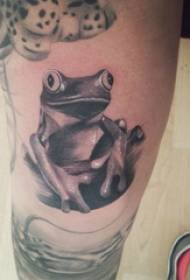 小動物紋身男小腿上的黑色青蛙紋身圖片