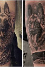 wolf tattoo male kubka sawir sawirka madaxa eeyaha
