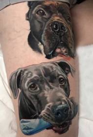 Tang de vedella europeu i americà, tija masculina, en imatges de tatuatges de cadells de colors