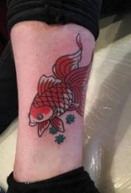 tatuaxes de peixes de ouro pequenos becerros en plantas e fotos de tatuaxes de peixes de ouro