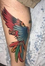 Evropa in ZDA tele tetovaže fantje Barvita slika papige na teletu