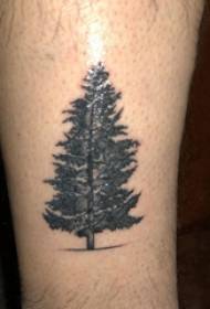 Gyvybės medžio tatuiruotės medžiagos patinas iš juodos pušies tatuiruotės paveikslo