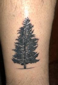 Vitello maschio materiale del tatuaggio dell'albero di vita sull'immagine del tatuaggio del pino nero