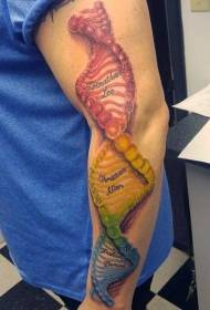 brazo muy colorido ADN símbolo tatuaje patrón