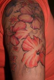 Плече колір рожевий квітка татуювання візерунок
