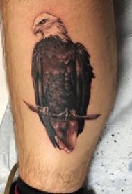 U tatuu di tatuu di vitellu europeu Maschile manguito nantu à u ritrattu di u tatuatu di aquila negra