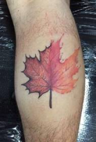 ʻLelelo Maple leaf tattoo kiʻi mau keiki kāne i nā maple leaf tattoo kiʻi