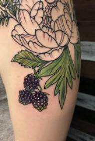 Eiropas teļa tetovējuma meitenes teļš uz krāsainu augu tetovējuma attēliem