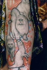 kar reális stílusú vicces macska tetoválás minta
