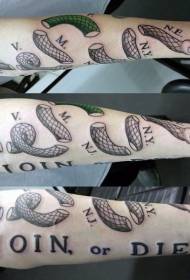 illustrazione del braccio Modello del tatuaggio del serpente di colore di stile