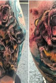 Tattoo Tiger Boys kálfur á lituðum tígúrmyndum af tígrisdýr