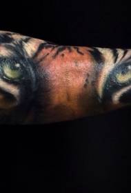 ginklų nuostabus labai natūralus tigro veido tatuiruotės modelis
