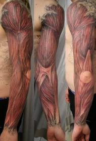 rankos tikroviškos spalvos raumenų tatuiruotės paveikslas