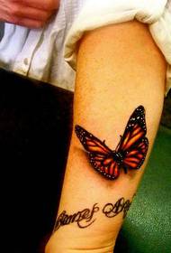I-butterfly ntathu enobukhulu obuthathu isesandleni