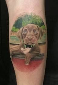 šuo tatuiruotė modelis berniukai blauzdos super realus šuniukas tatuiruotė paveikslėlį